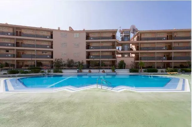 Vacation 1 Bed Cristianos Los Cristianos (Tenerife)